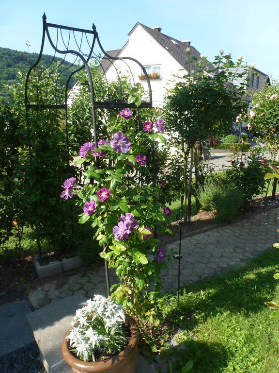 Eckstein Apartment